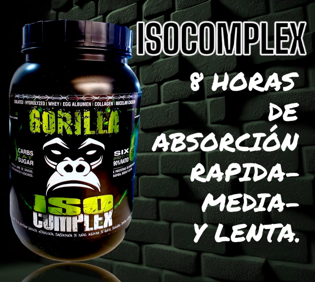 Producto 11